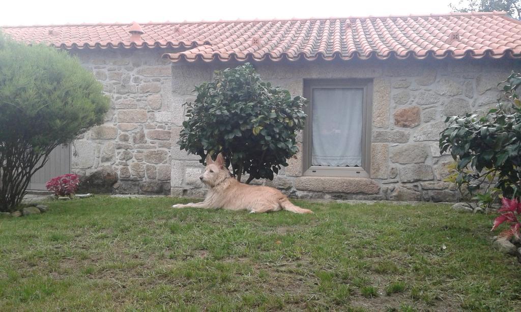 Casa Maria Da Assuncao Villa Vila Nova de Cerveira Kamer foto